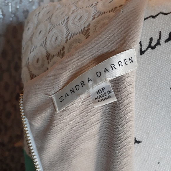 Sandra Darren Color Block w/ Lace Dress - Picture 4 of 4